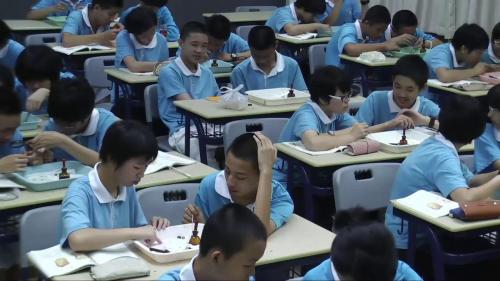 《3 1 2 种子植物》人教版生物七年级上册优质课视频-福建