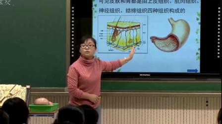 《第二节 生物体》课堂教学实录-北京版初中生物七年级上册