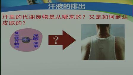 《第三节 汗液的排出》课堂教学实录-北京版初中生物七年级下册