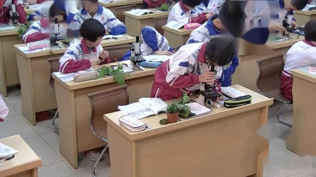 《第一节　 藻类、苔藓和蕨类植物》课堂教学视频实录-人教版初中生物七年级上册