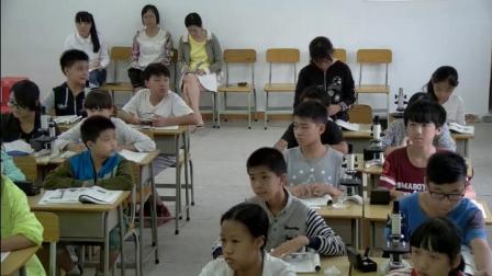 《第五节 光合作用和呼吸作用原理的应用》教学视频实录-苏教版初中生物七年级上册