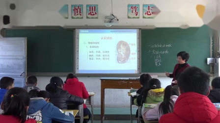 《第2节 尿的形成与排出》课堂教学视频实录-北师大版初中生物七年级下册