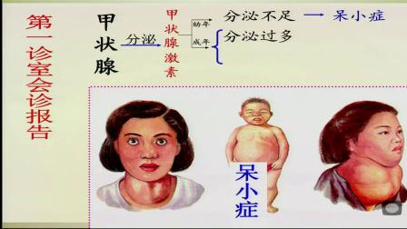 《第一节　人体的激素调节》课堂教学视频实录-济南版初中生物七年级下册