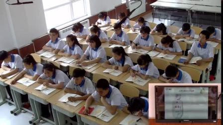 《第一节　人体的激素调节》教学视频实录-济南版初中生物七年级下册