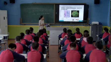 《第二节　传染病及其预防》课堂教学视频实录-济南版初中生物七年级下册