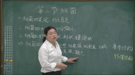 《第二节 细菌》课堂教学实录-鲁科五四学制版初中生物七年级下册