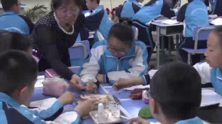 《第三节 人体概述》优质课课堂展示视频-苏教版初中生物七年级下册