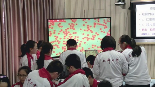 北师大版生物七下9.1《血液》课堂教学视频实录-姜文思