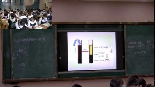 七年级生物《流动的组织-血液》优质课比赛教学视频-执教汤老师