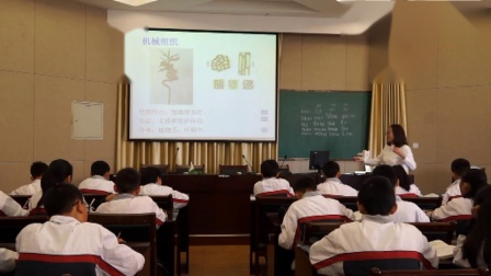 华师大版科学七上4.3《组织、器官、系统》课堂教学视频实录-戴莹君