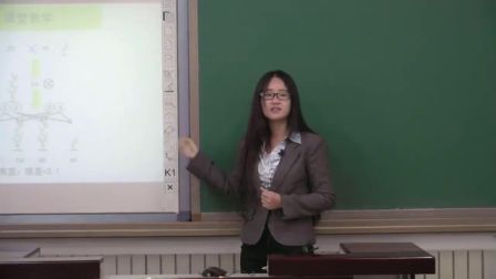 中学生物八上《生物的性状遗传》说课 北京宗琮