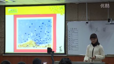 初中生物人教版八上《真菌》湖南岳振华生物八上