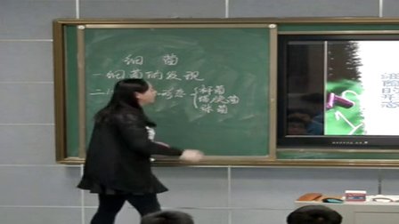 人教版八年级生物上册《细菌》教学视频,江西省生物八上