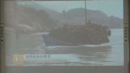 《原生生物的主要类群》课堂实录（北师大版生物八下，北京四中：段玉佩）生物人教版八下